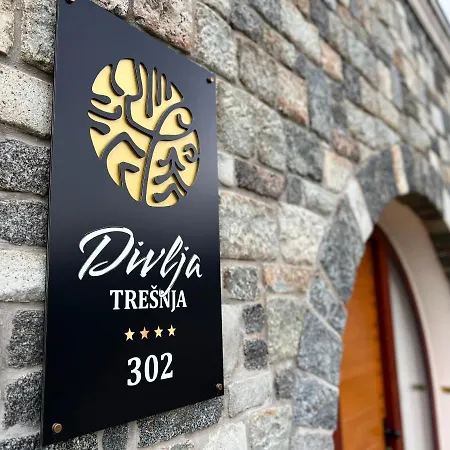 Apartman Toplik Village